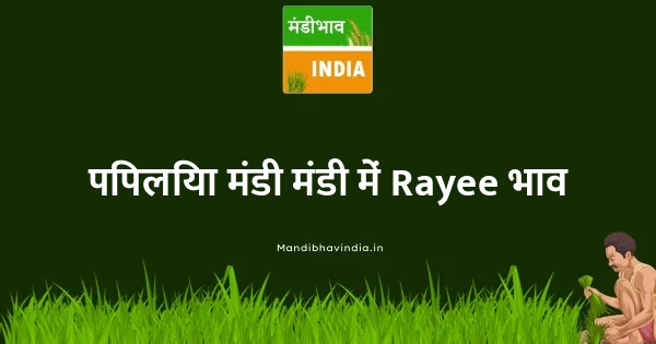 Rayee भाव